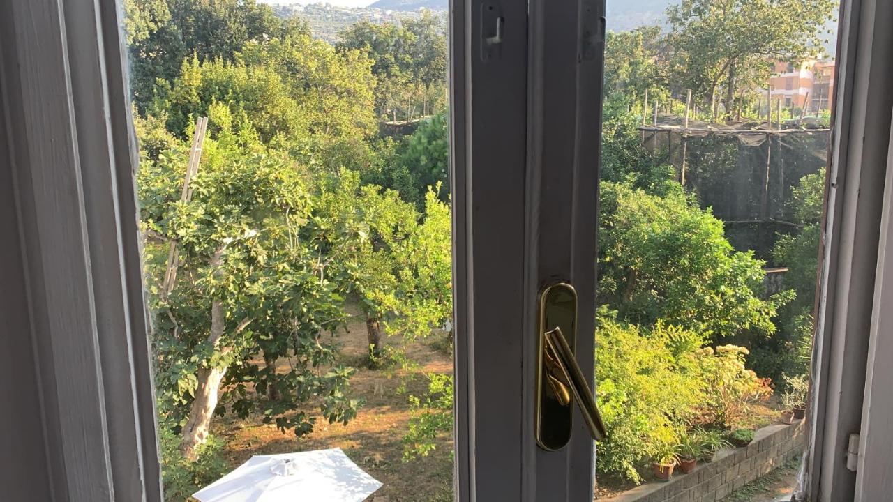 B&B Antica Dimora Piano di Sorrento Ngoại thất bức ảnh